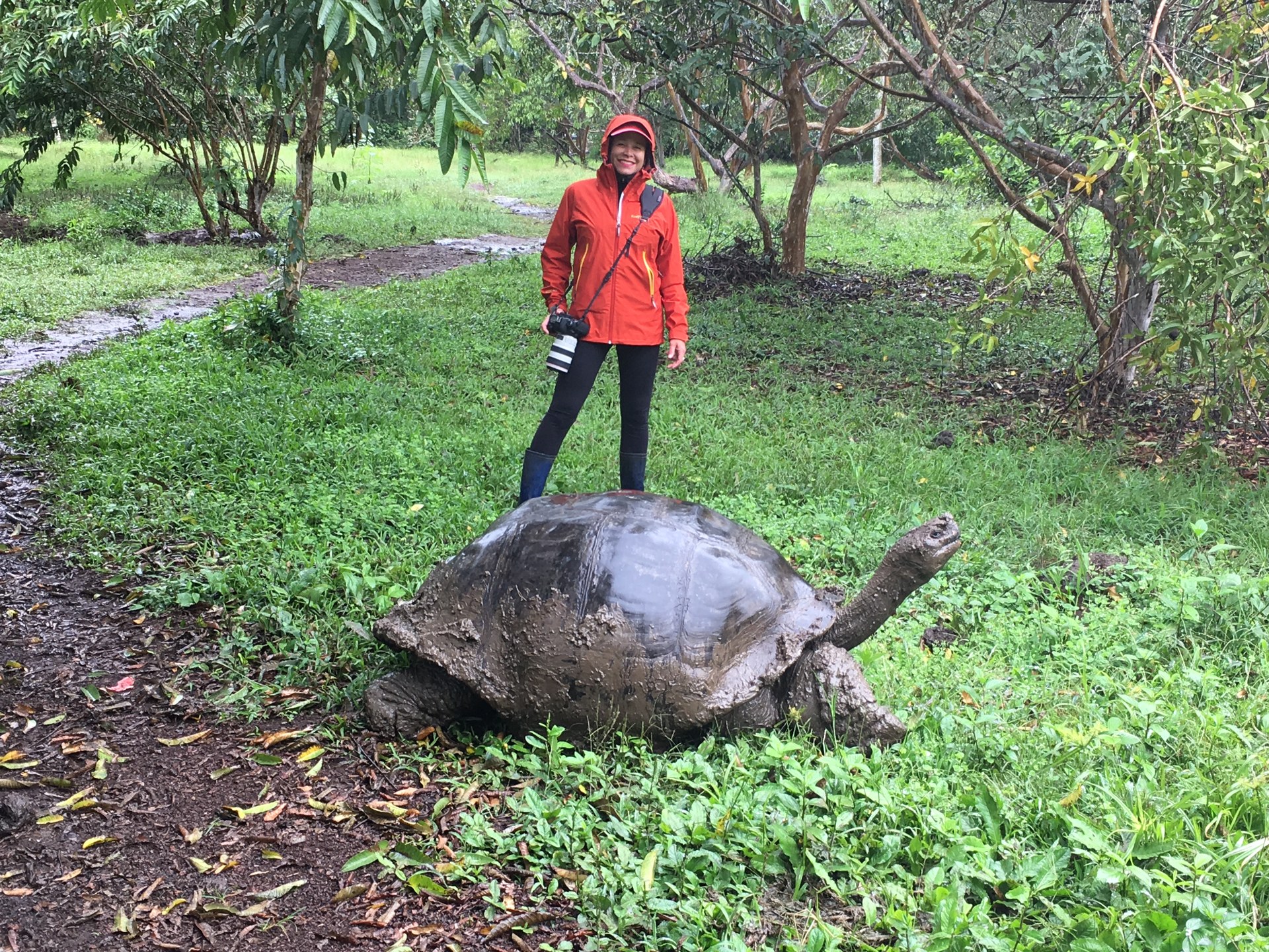 Renée Berberian with a giant Galapagos tortoise